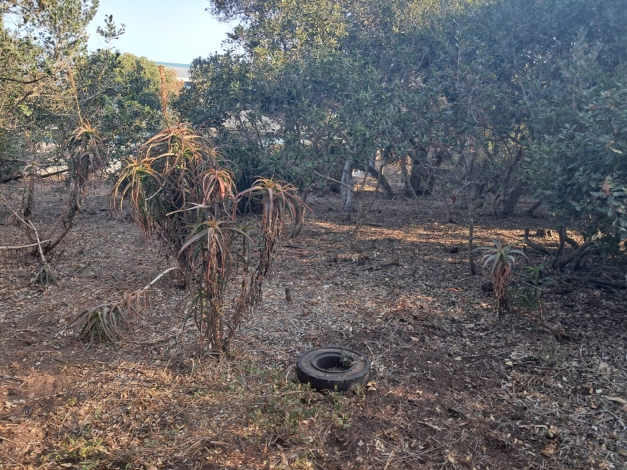 Commercial Property for Sale in Bergsig Western Cape
